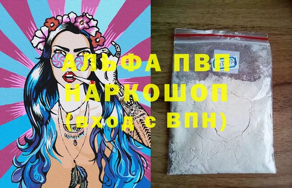 стаф Абинск