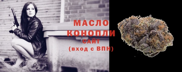 экстази Галич