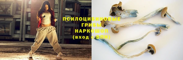 стаф Абинск