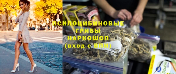 спиды Абаза