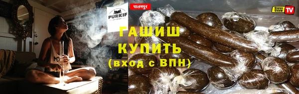 стаф Абинск